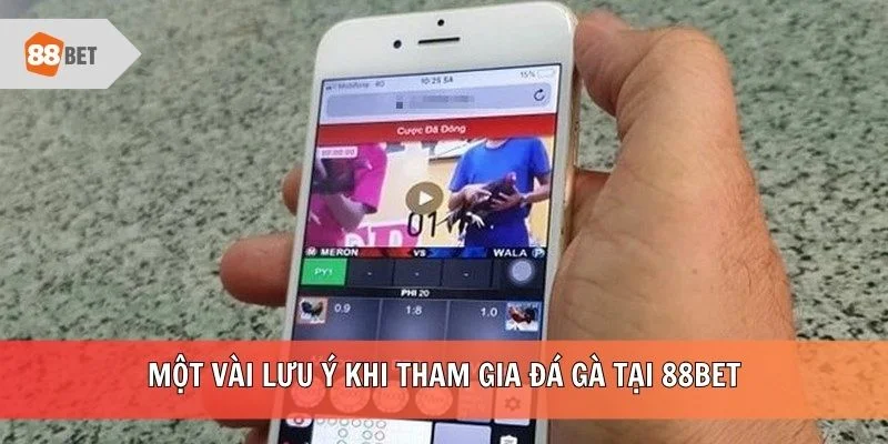 Một vài lưu ý khi tham gia đá gà tại 88BET