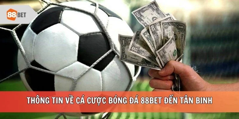 Thông tin về mục cá cược bóng đá 88BET đến tân binh
